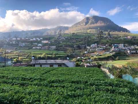 Just outside Nuwara Eliya, near our guest house